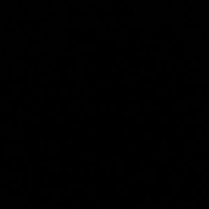 Meet your Posher, Teddy